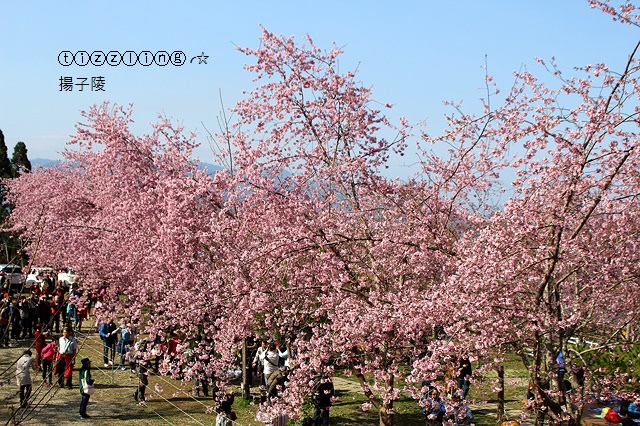 IMG_4374.JPG IMG_4374.JPG