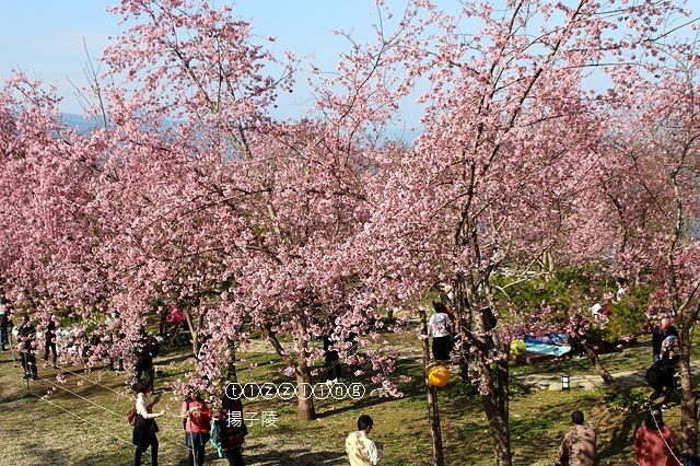 IMG_4375.JPG IMG_4375.JPG