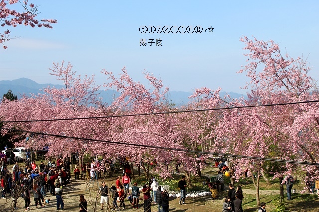 IMG_4381.JPG IMG_4381.JPG