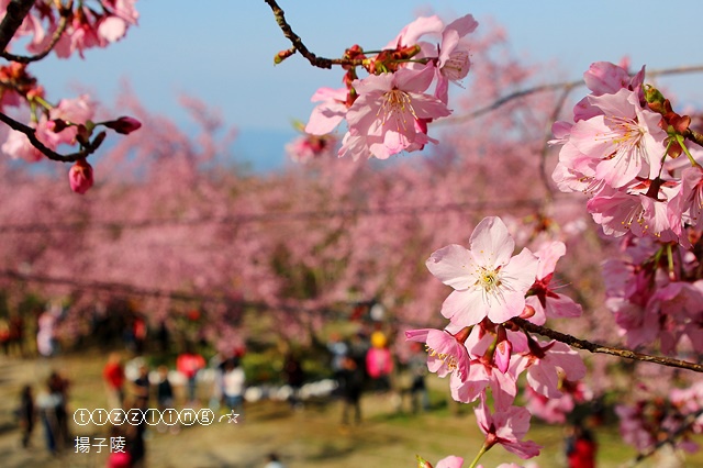 IMG_4386.JPG IMG_4386.JPG