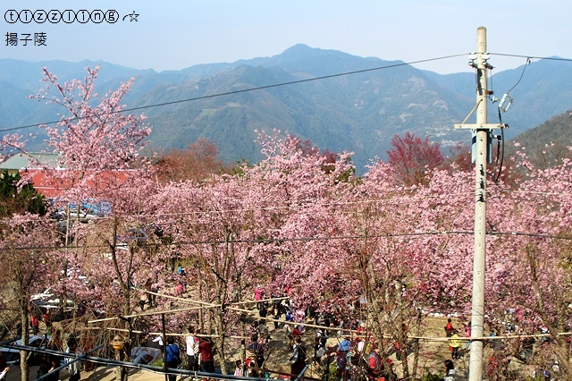 IMG_4411.JPG IMG_4411.JPG