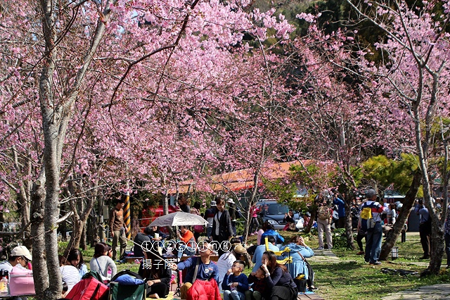 IMG_4481.JPG IMG_4481.JPG