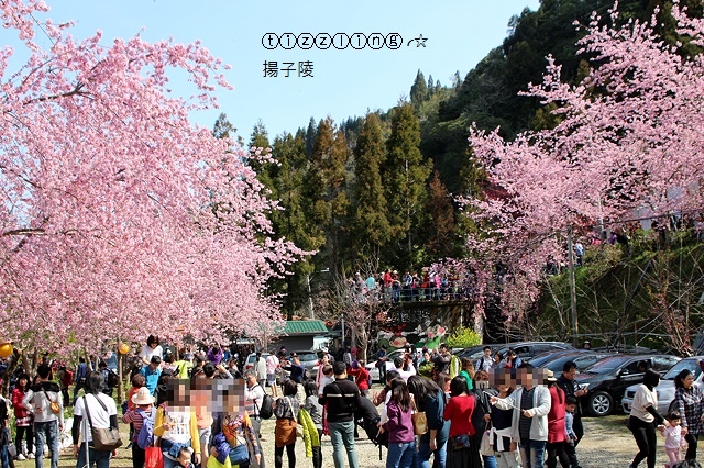 IMG_4501.JPG IMG_4501.JPG