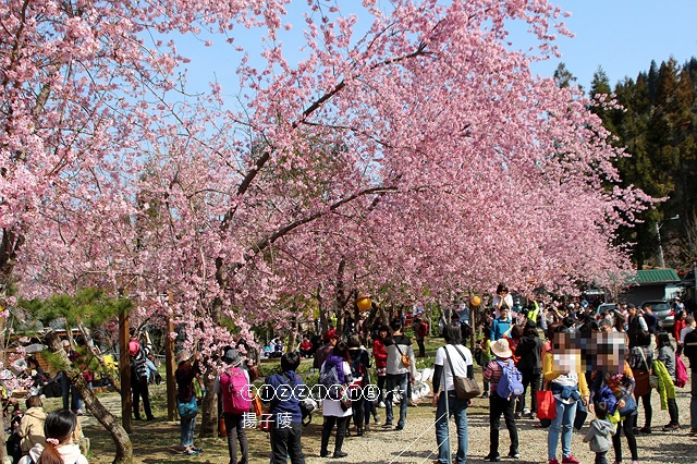 IMG_4503.JPG IMG_4503.JPG