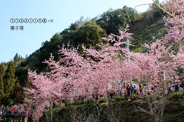 IMG_4507.JPG IMG_4507.JPG