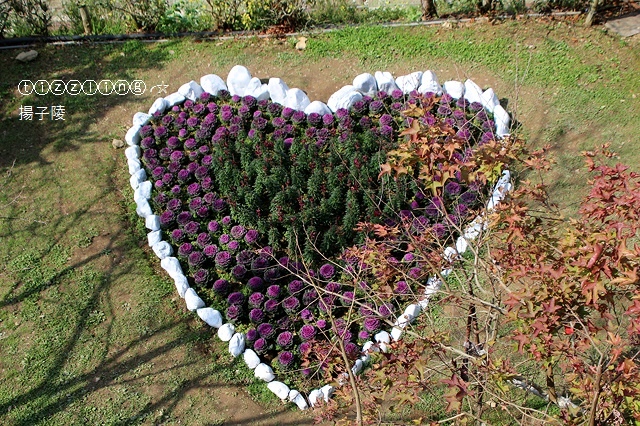 IMG_4529.JPG IMG_4529.JPG