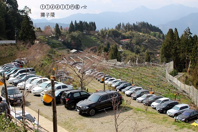 IMG_4538.JPG IMG_4538.JPG