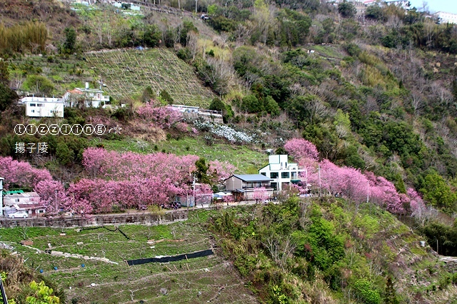 IMG_4543.JPG IMG_4543.JPG