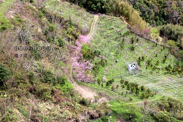 IMG_4550.JPG IMG_4550.JPG