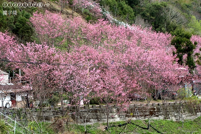 IMG_4555.JPG IMG_4555.JPG