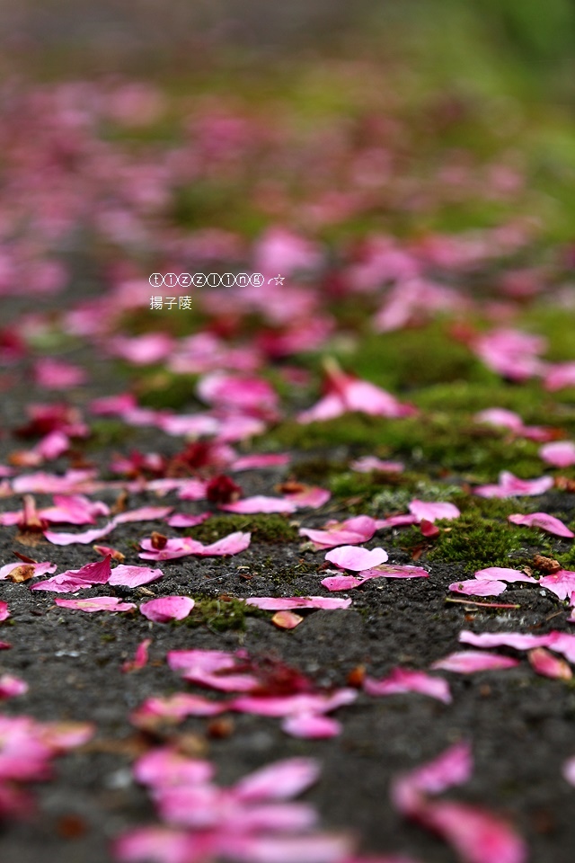 IMG_4560.JPG IMG_4560.JPG