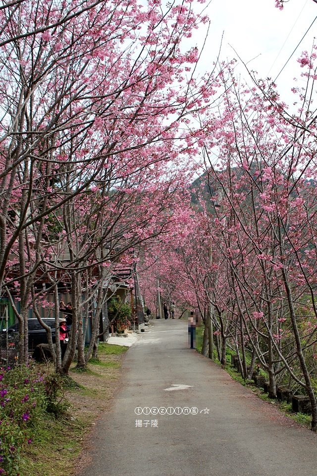 IMG_4567.JPG IMG_4567.JPG