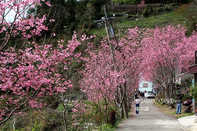 IMG_4573.JPG IMG_4573.JPG