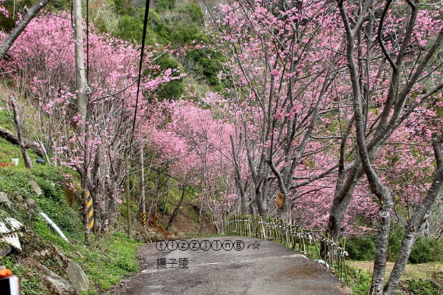 IMG_4574.JPG IMG_4574.JPG