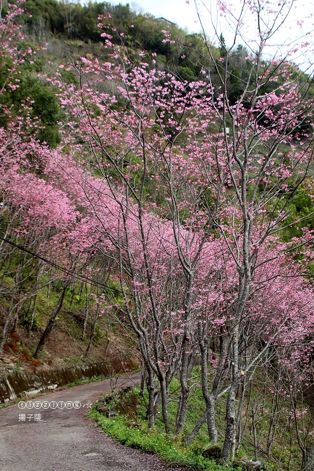 IMG_4583.JPG IMG_4583.JPG