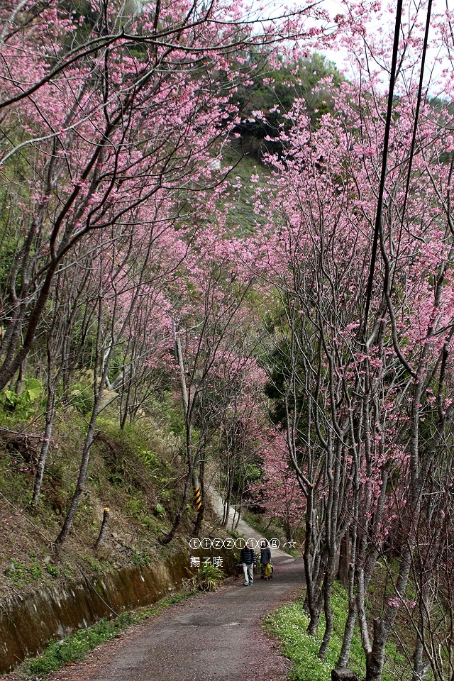 IMG_4586.JPG IMG_4586.JPG