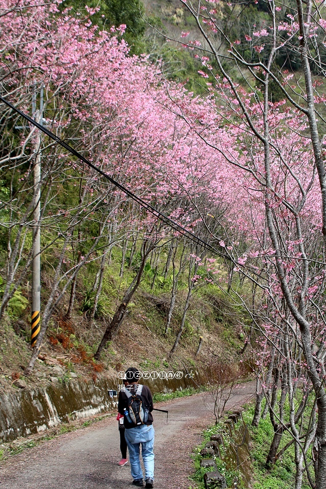 IMG_4626.JPG IMG_4626.JPG