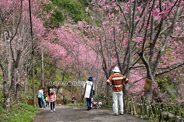 IMG_4630.JPG IMG_4630.JPG