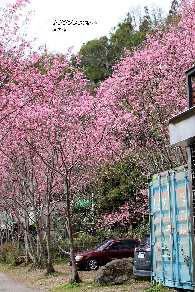 IMG_4643.JPG IMG_4643.JPG