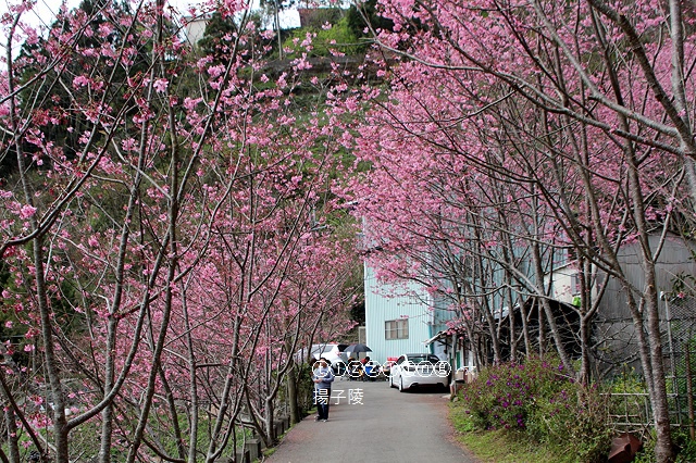 IMG_4656.JPG IMG_4656.JPG