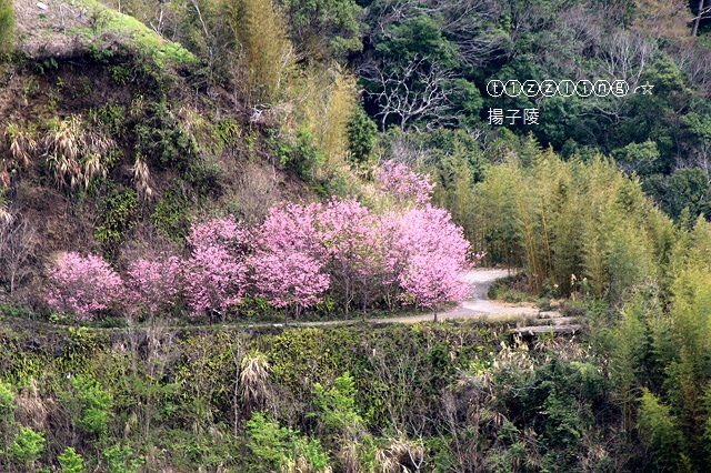 IMG_4670.JPG IMG_4670.JPG