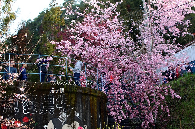 IMG_4324.JPG IMG_4324.JPG