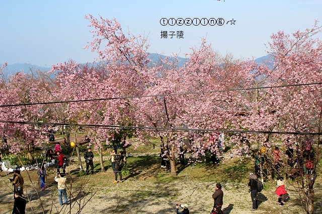 IMG_4341.JPG IMG_4341.JPG