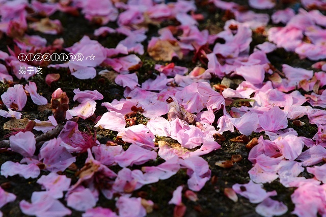 IMG_4348.JPG IMG_4348.JPG