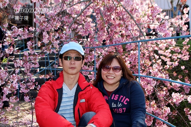 IMG_4363.JPG IMG_4363.JPG