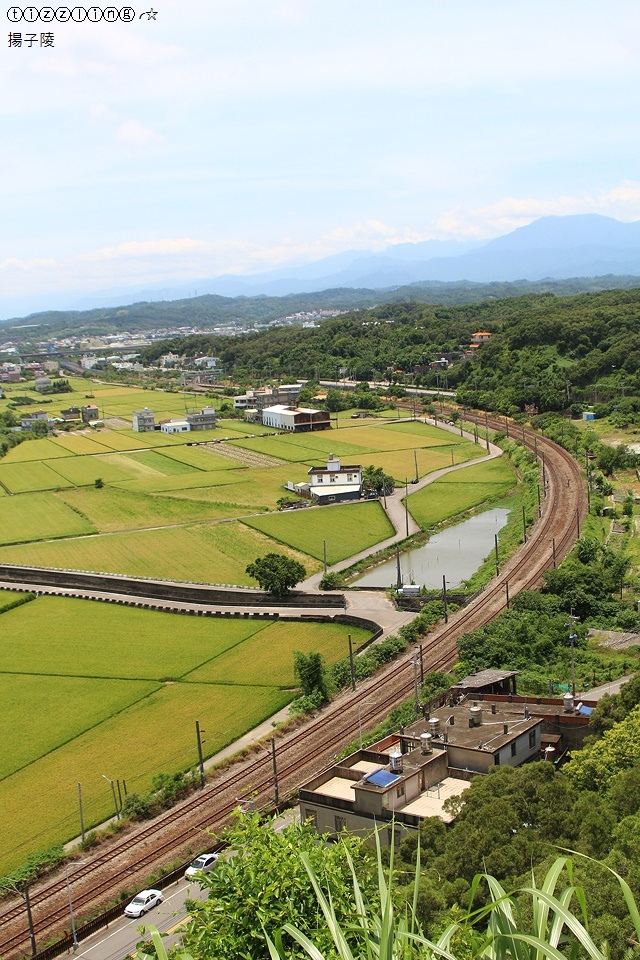 IMG_5655.JPG IMG_5655.JPG