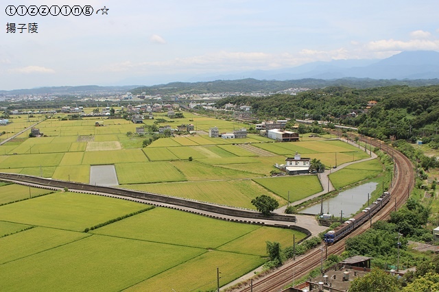 IMG_5682.JPG IMG_5682.JPG