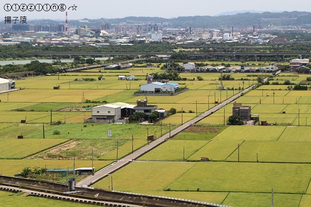 IMG_5695.JPG IMG_5695.JPG