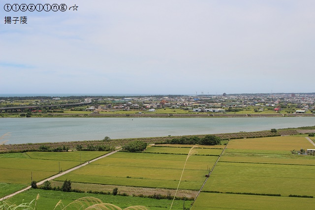 IMG_5706.JPG IMG_5706.JPG