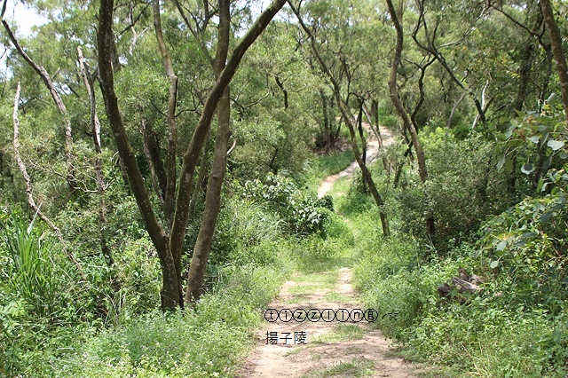 IMG_5758.JPG IMG_5758.JPG