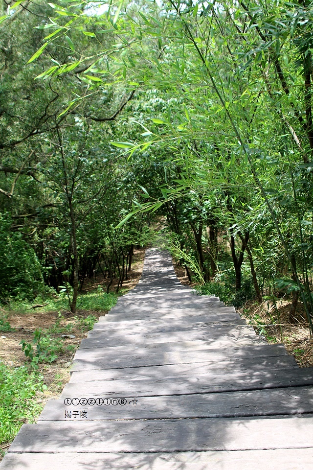 IMG_5795.JPG IMG_5795.JPG