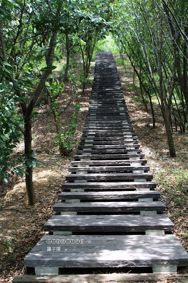 IMG_5798.JPG IMG_5798.JPG