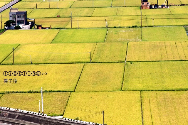 IMG_8839.JPG IMG_8839.JPG