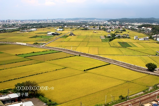 IMG_8868.JPG IMG_8868.JPG