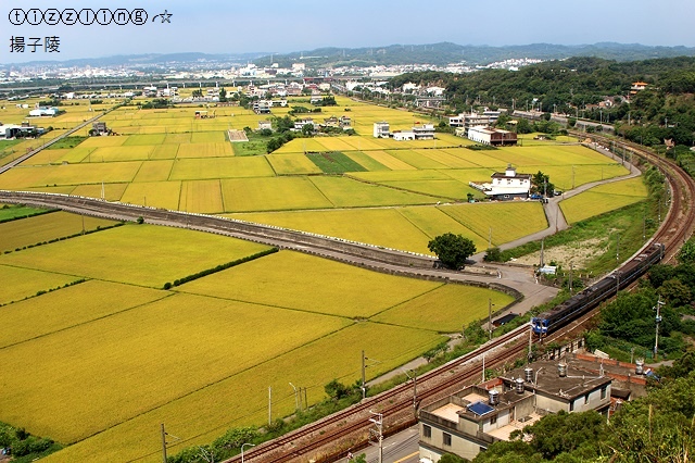 IMG_8872.JPG IMG_8872.JPG