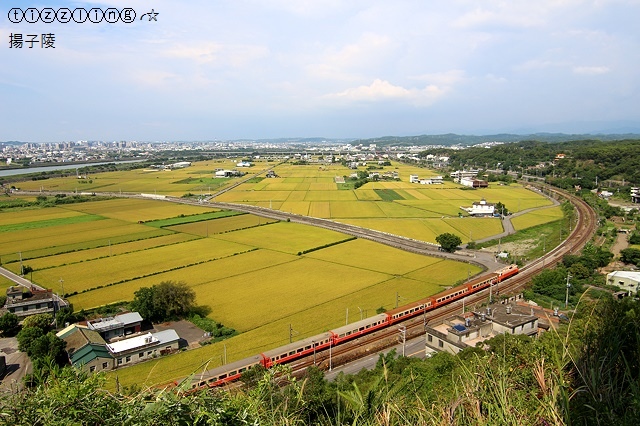 IMG_8945.JPG IMG_8945.JPG