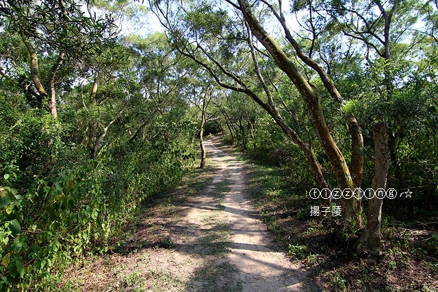 IMG_8951.JPG IMG_8951.JPG