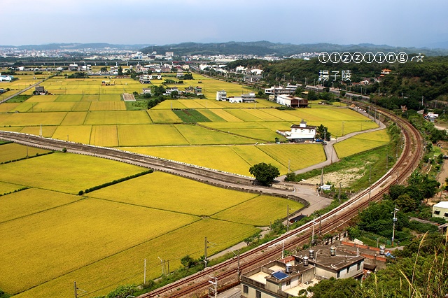 IMG_8829.JPG IMG_8829.JPG