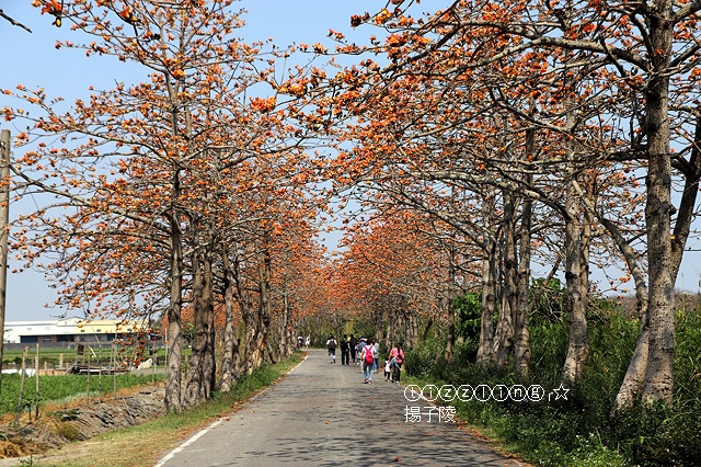 IMG_1637.JPG IMG_1637.JPG