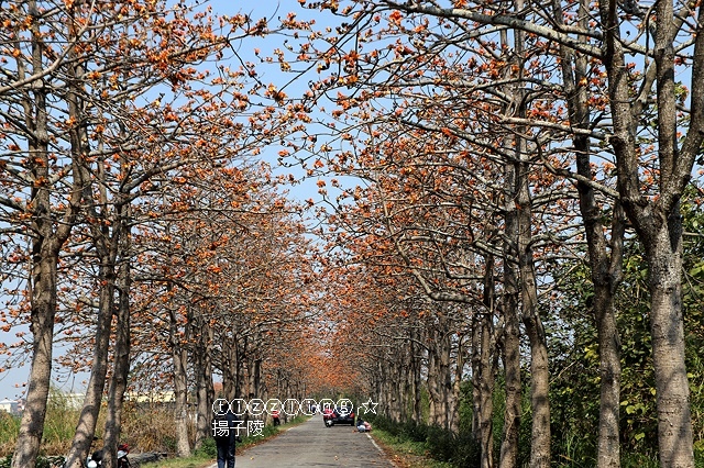 IMG_1640.JPG IMG_1640.JPG