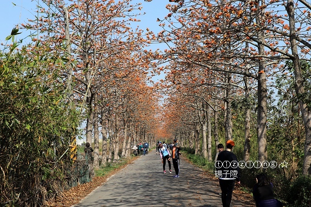 IMG_1509.JPG IMG_1509.JPG