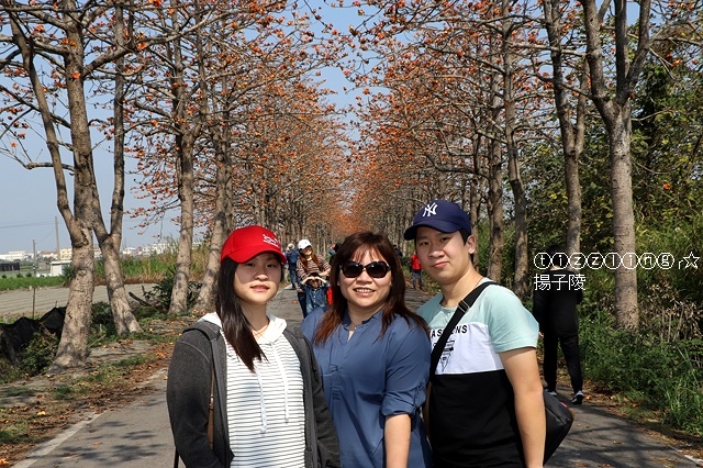 IMG_1525.JPG IMG_1525.JPG