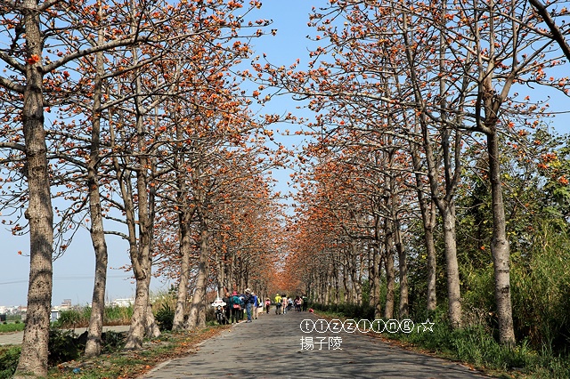 IMG_1518.JPG IMG_1518.JPG