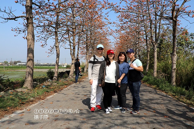 IMG_1530.JPG IMG_1530.JPG