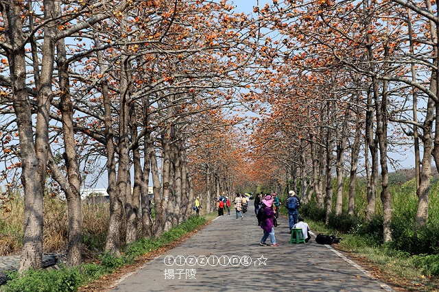 IMG_1539.JPG IMG_1539.JPG