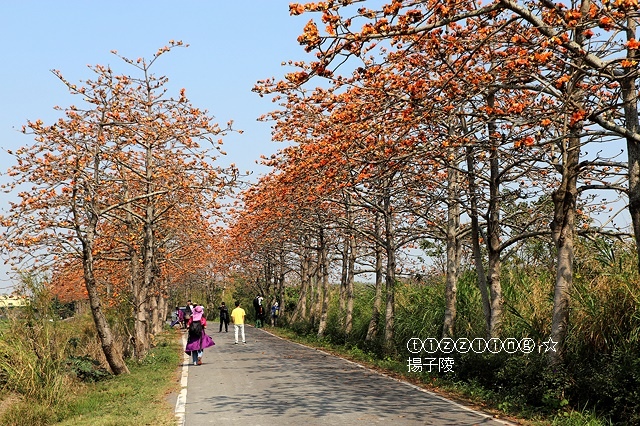 IMG_1555.JPG IMG_1555.JPG